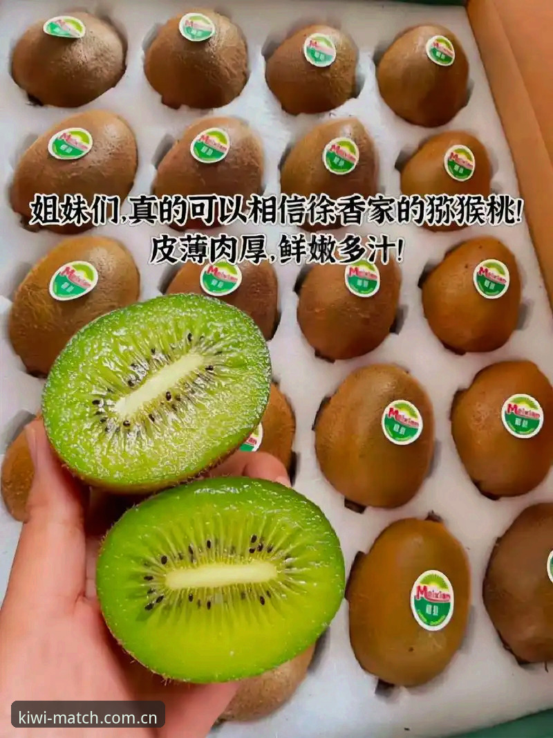 奇异果体育下载地址 奇异果体育下载地址怎么找?实战派告诉你最靠谱的获取途径
