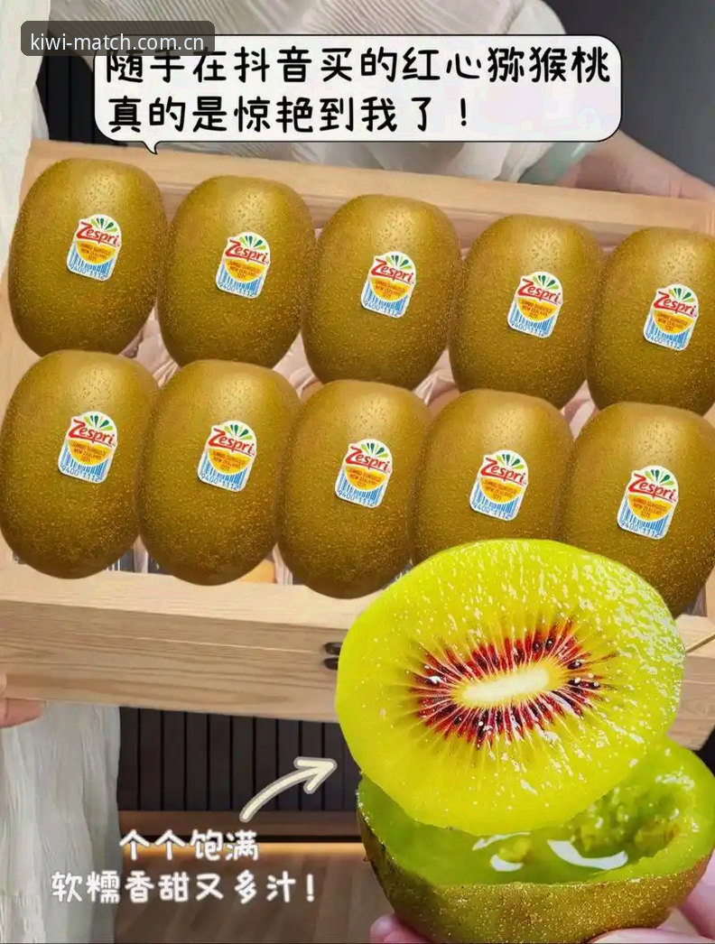 奇异果体育安装对比最新消息：老用户实测分享各版本差异与使用心得