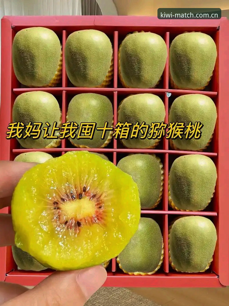 奇异果体育安装对比 奇异果体育安装对比最新消息:老用户实测分享各版本差异与使用心得